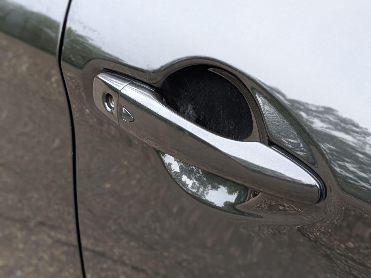Nissan Qashqai 1.2 DIG-T N-Connecta SUV 5dr Petrol Manual 2WD Euro 6 (s/s) (115 ps)